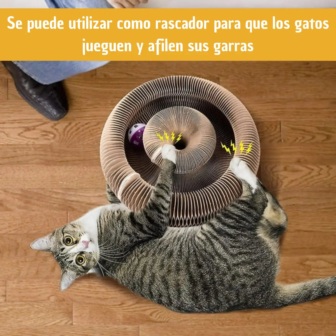 Juguete Rascador Para Gatos 3 en 1