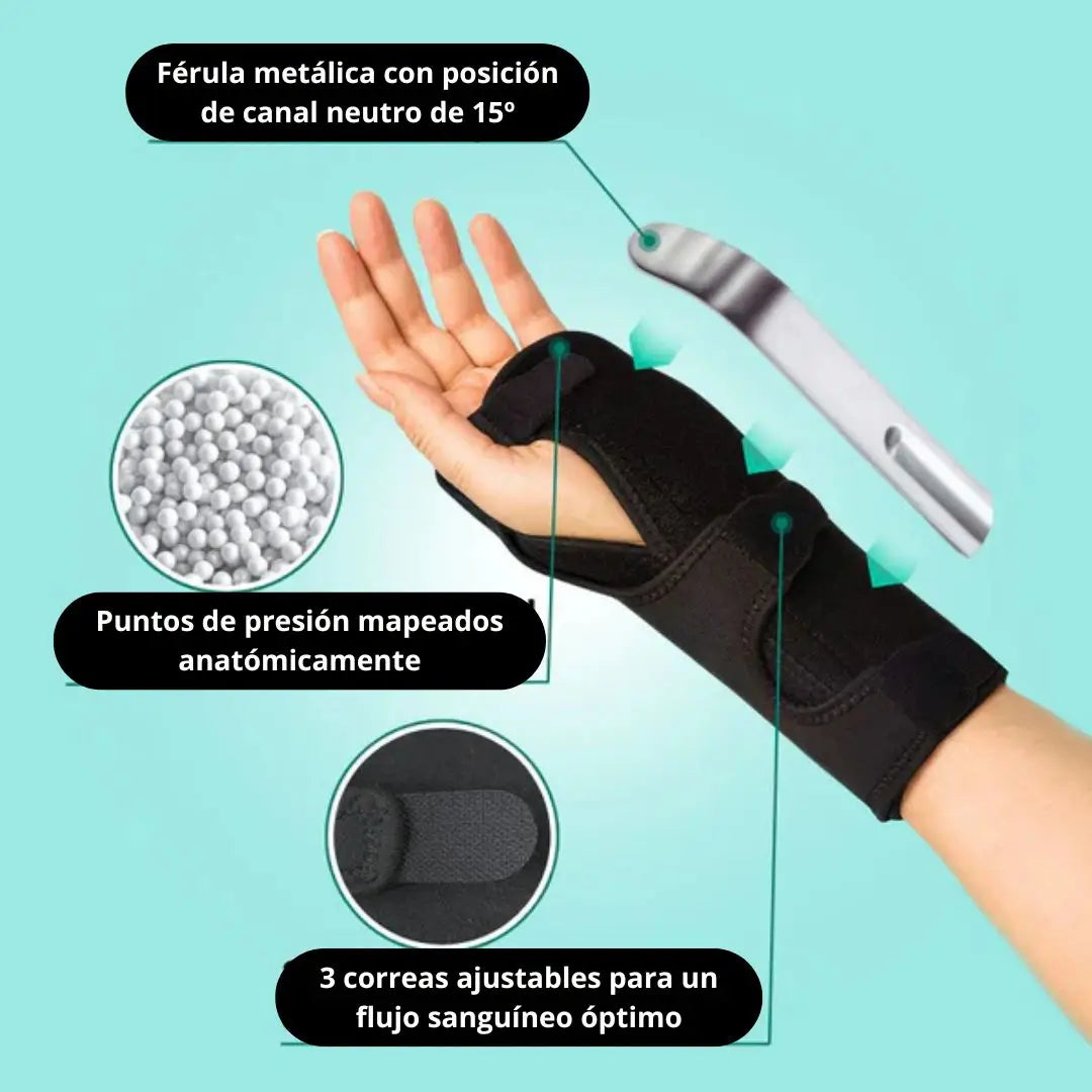 Encabezado