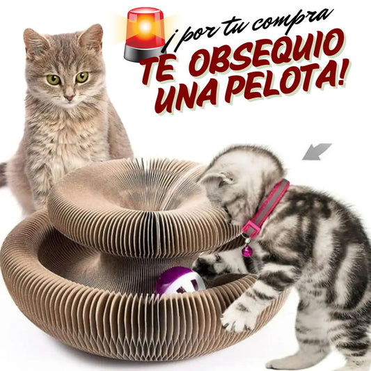 Juguete Rascador Para Gatos 3 en 1